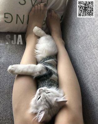 超级黄色电影