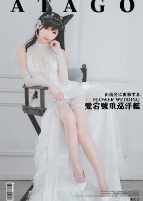 爱在哈佛免费观看全集完整版