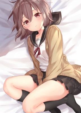 玫瑰之战免费全集在线观看完整版