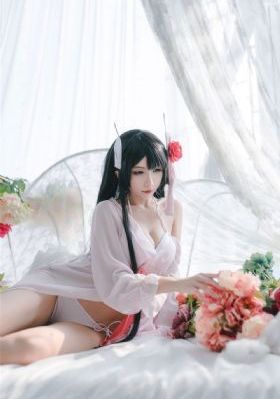 灰姑娘h版