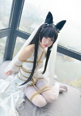 日韩不卡在线观看