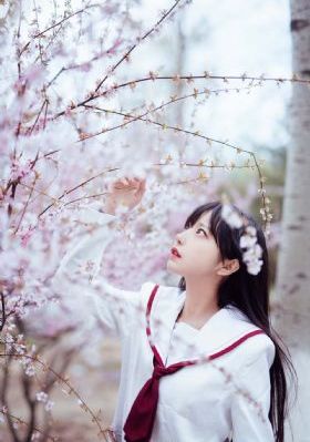 天桥骄子